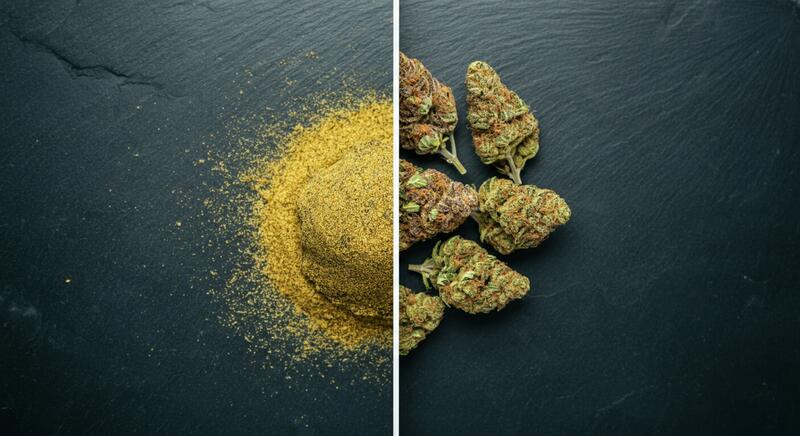 Résine ou Fleur CBD : Comment Choisir ?