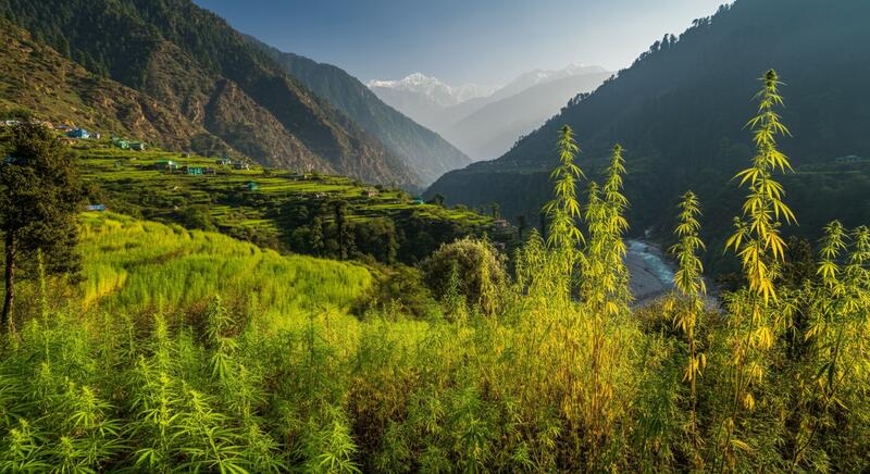 Inde